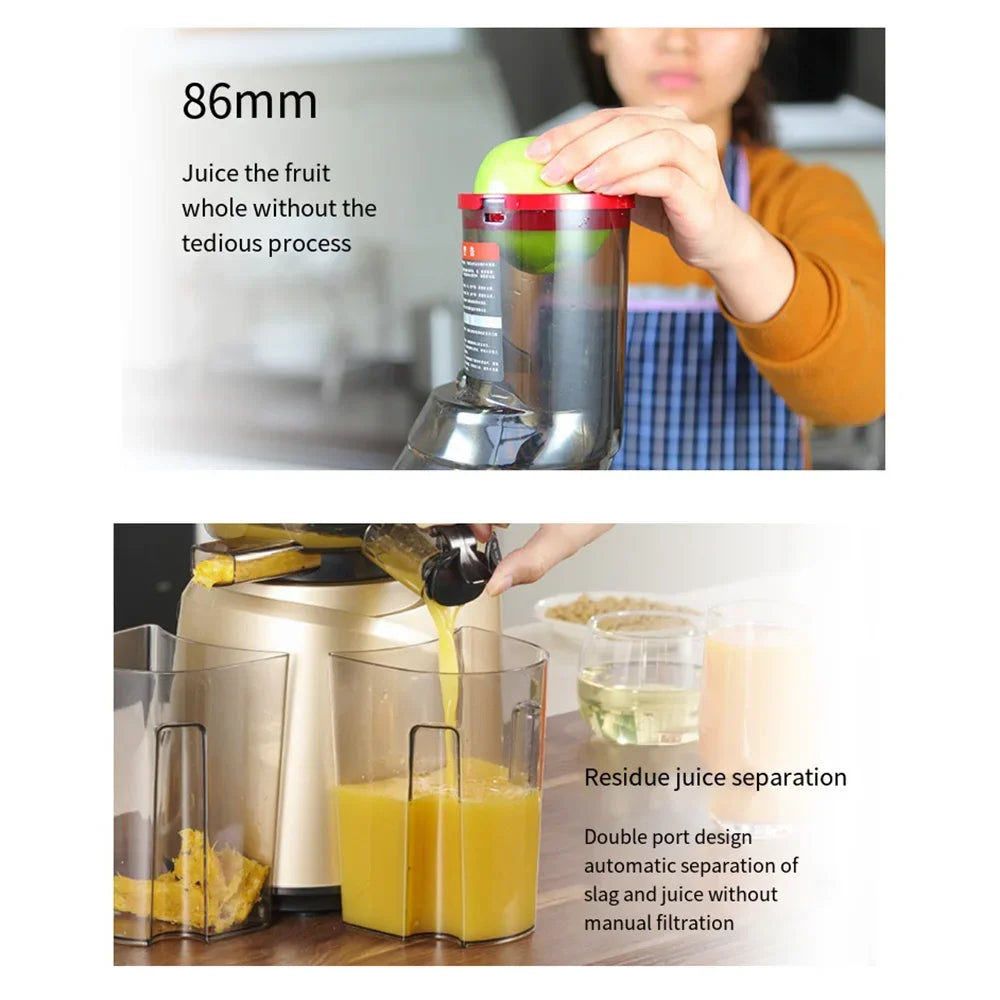FreshBlend Max 300 Slow Juicer