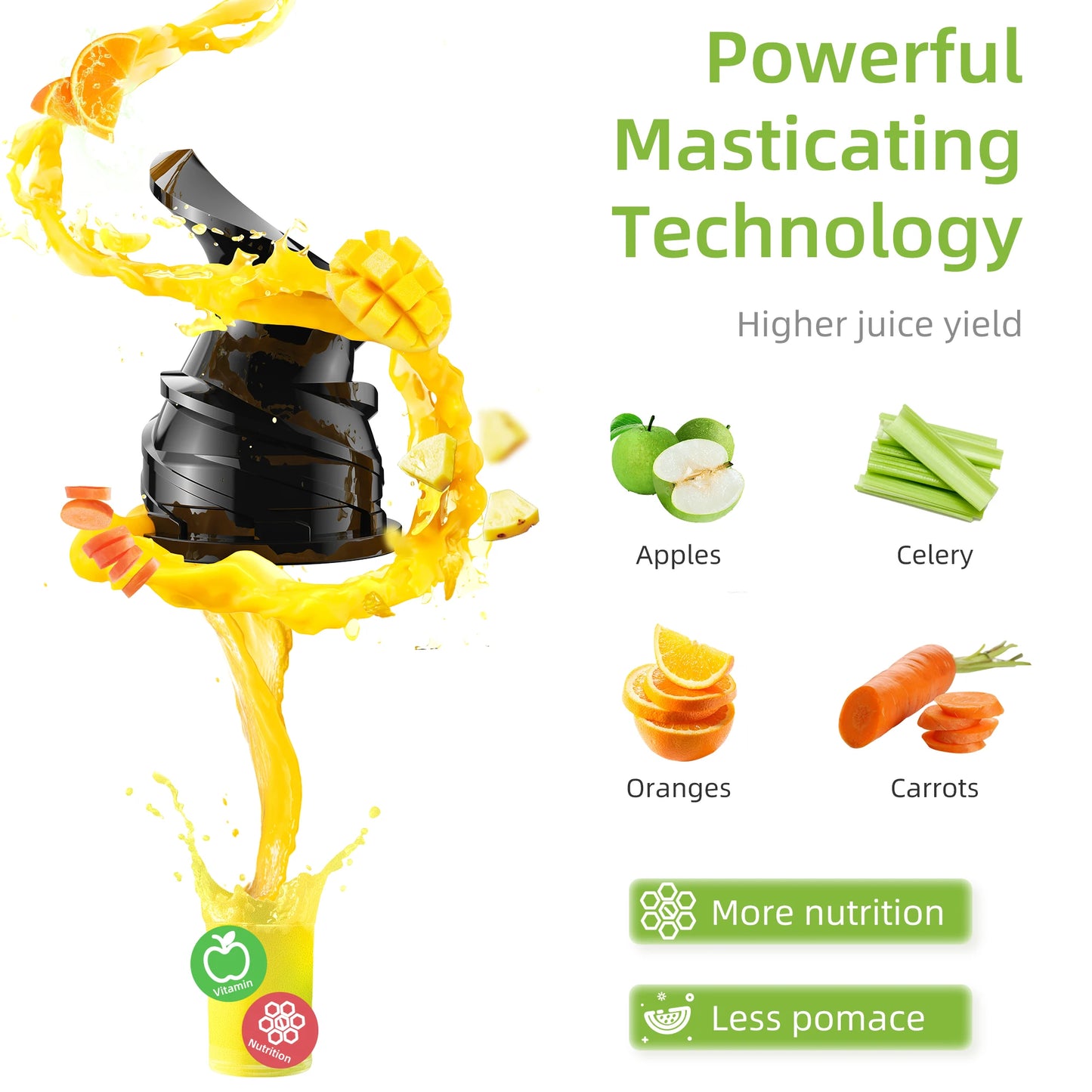 BioMix Cold Press Juicer 200W