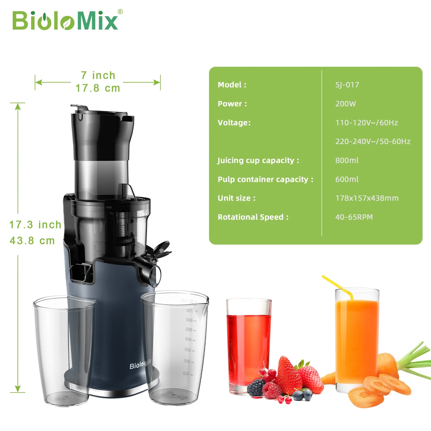 BioMix Cold Press Juicer 200W
