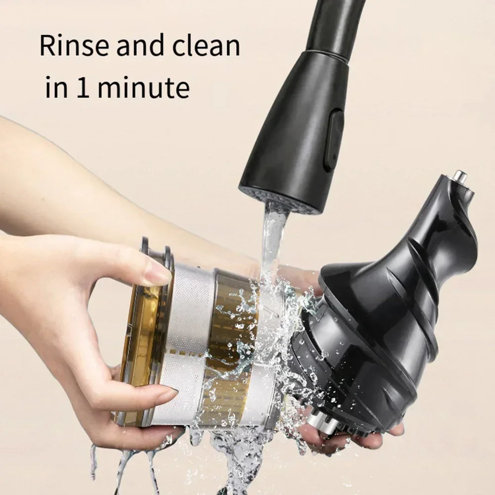 FreshBlend Max 300 Slow Juicer