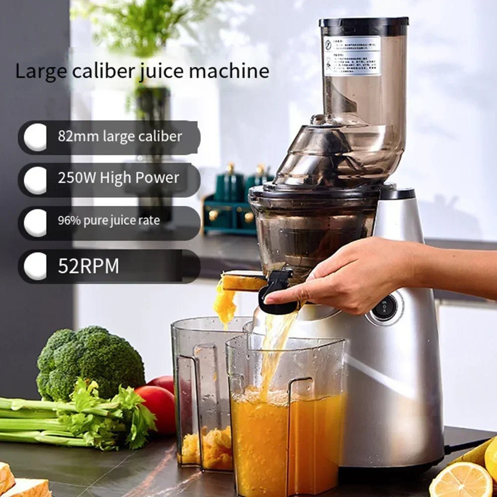 FreshBlend Max 300 Slow Juicer