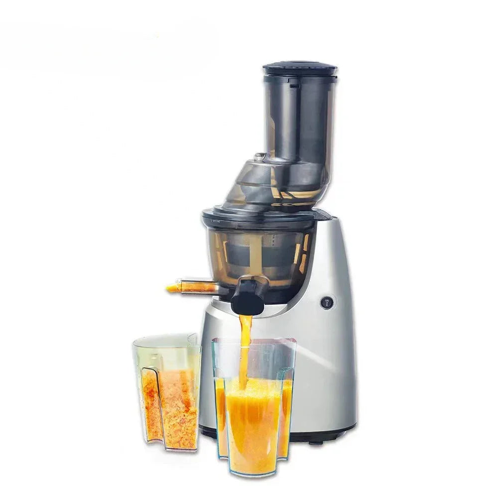 FreshBlend Max 300 Slow Juicer