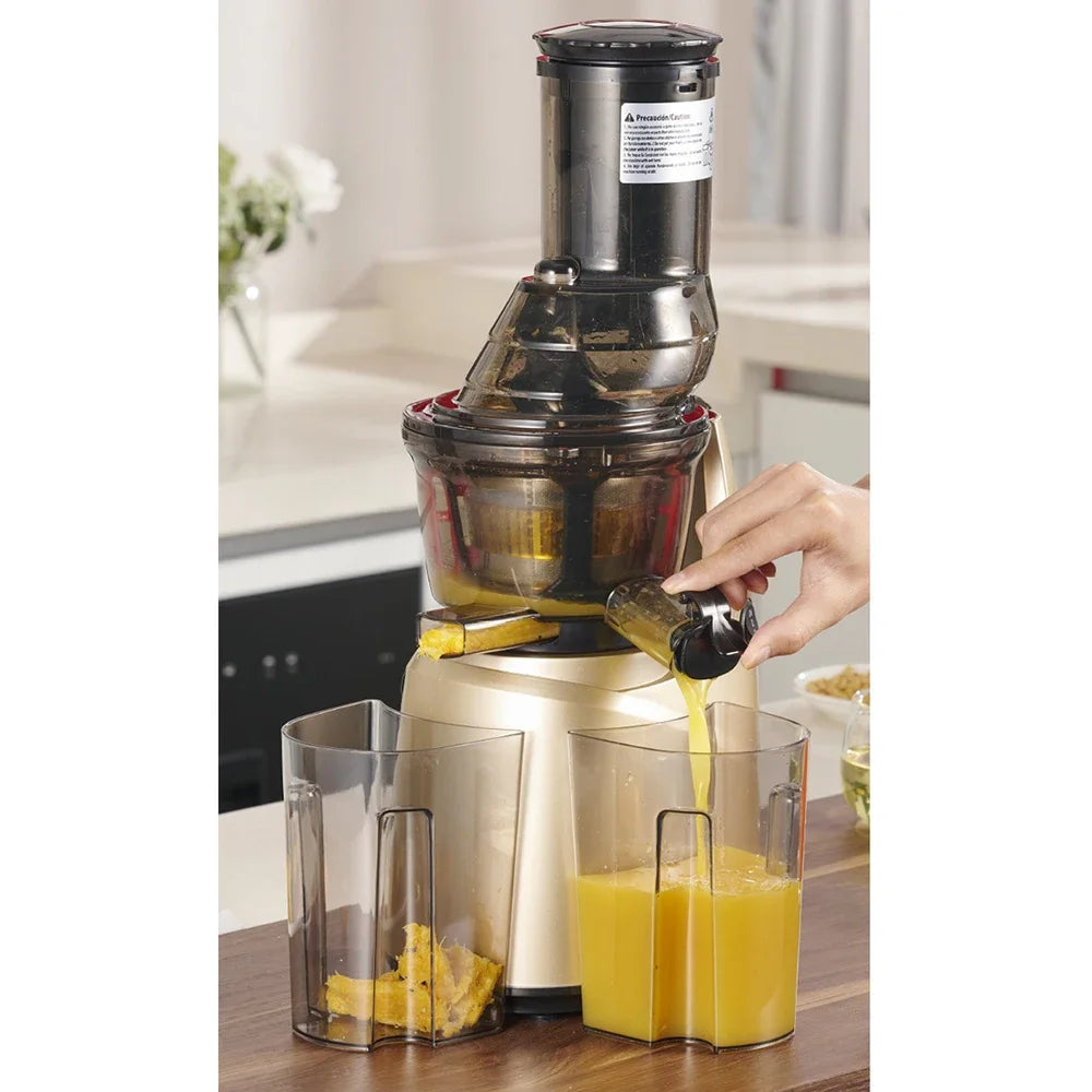 FreshBlend Max 300 Slow Juicer