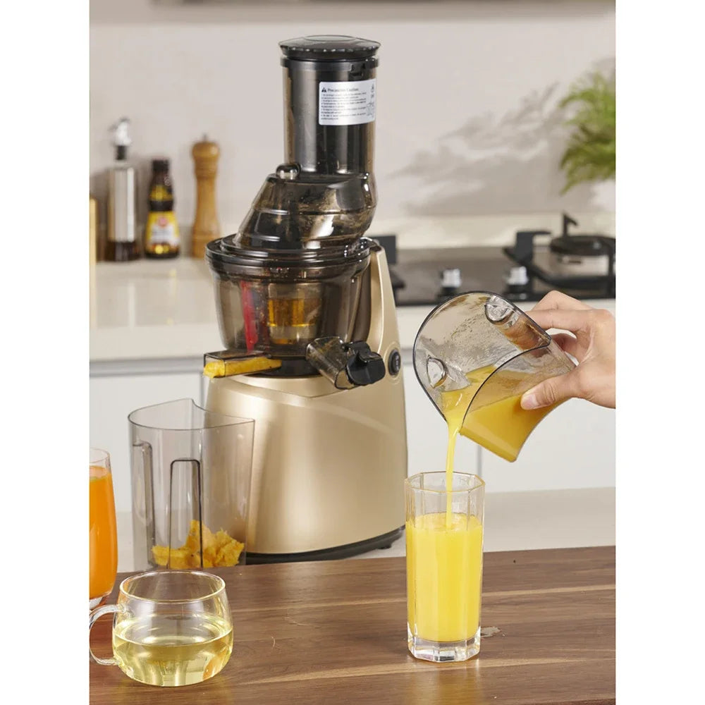 FreshBlend Max 300 Slow Juicer