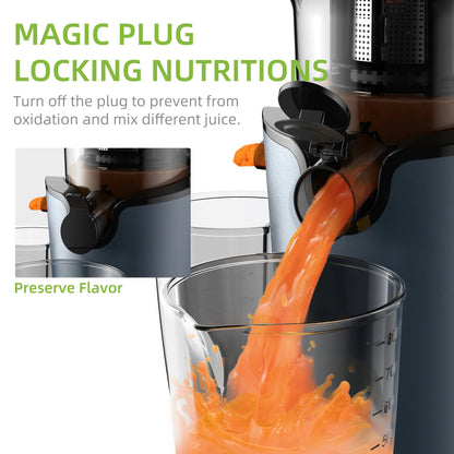BioMix Cold Press Juicer 200W