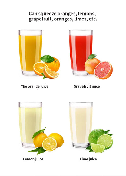 CitrusPress Pro – Electric Stainless Steel Juicer