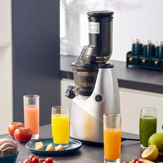 FreshBlend Max 300 Slow Juicer